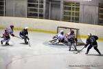 Photo hockey match Reims - Lyon le 25/01/2014