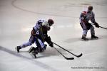 Photo hockey match Reims - Lyon le 25/01/2014