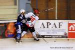 Photo hockey match Reims - Mont-Blanc le 12/11/2011