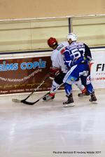 Photo hockey match Reims - Mont-Blanc le 12/11/2011