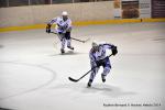 Photo hockey match Reims - Mulhouse le 08/11/2014