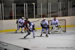 Photo hockey match Reims - Mulhouse le 08/11/2014