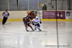 Photo hockey match Reims - Mulhouse le 08/11/2014