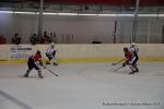 Photo hockey match Reims - Mulhouse le 08/11/2014