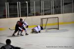 Photo hockey match Reims - Mulhouse le 08/11/2014