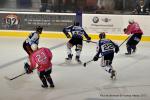 Photo hockey match Reims - Nantes le 05/10/2013