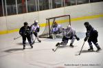 Photo hockey match Reims - Nantes le 10/01/2015