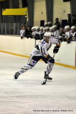 Photo hockey match Reims - Nantes le 07/03/2015