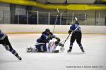 Photo hockey match Reims - Nantes le 07/03/2015