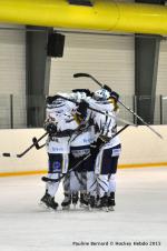 Photo hockey match Reims - Nantes le 07/03/2015