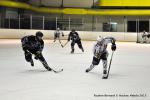 Photo hockey match Reims - Nantes le 07/03/2015