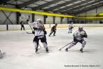 Photo hockey match Reims - Nice le 10/02/2015