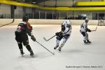 Photo hockey match Reims - Nice le 10/02/2015