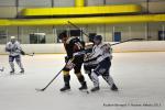 Photo hockey match Reims - Nice le 10/02/2015