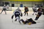 Photo hockey match Reims - Nice le 10/02/2015