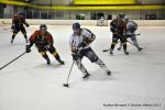 Photo hockey match Reims - Nice le 10/02/2015