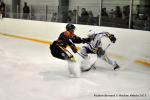 Photo hockey match Reims - Nice le 10/02/2015