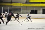 Photo hockey match Reims - Toulouse-Blagnac le 31/01/2015