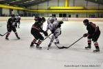 Photo hockey match Reims - Toulouse-Blagnac le 31/01/2015
