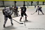 Photo hockey match Reims - Toulouse-Blagnac le 31/01/2015