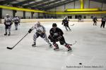 Photo hockey match Reims - Toulouse-Blagnac le 31/01/2015