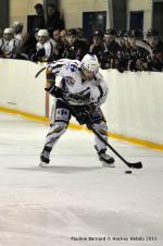 Photo hockey match Reims - Toulouse-Blagnac le 31/01/2015