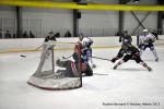 Photo hockey match Reims - Toulouse-Blagnac le 31/01/2015