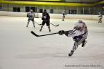 Photo hockey match Reims - Toulouse-Blagnac le 31/01/2015