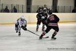 Photo hockey match Reims - Toulouse-Blagnac le 31/01/2015