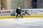Photo hockey match Reims - Toulouse-Blagnac le 03/11/2012