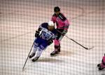 Photo hockey match Rennes - Brive le 27/01/2024