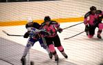 Photo hockey match Rennes - Brive le 27/01/2024
