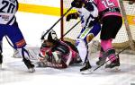 Photo hockey match Rennes - Brive le 27/01/2024