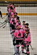 Photo hockey match Rennes - La Roche-sur-Yon le 13/11/2021