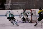Photo hockey match Romorantin - Colombes le 22/03/2014