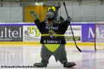 Photo hockey match Rouen - Amiens  le 14/09/2013