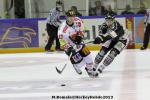 Photo hockey match Rouen - Amiens  le 14/09/2013