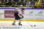 Photo hockey match Rouen - Amiens  le 14/09/2013