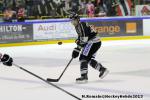 Photo hockey match Rouen - Amiens  le 14/09/2013