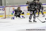Photo hockey match Rouen - Amiens  le 14/09/2013