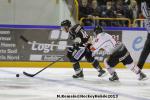 Photo hockey match Rouen - Amiens  le 14/09/2013