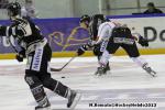 Photo hockey match Rouen - Amiens  le 14/09/2013