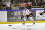 Photo hockey match Rouen - Amiens  le 14/09/2013