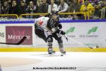 Photo hockey match Rouen - Amiens  le 14/09/2013