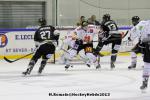 Photo hockey match Rouen - Amiens  le 14/09/2013