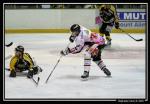 Photo hockey match Rouen - Amiens  le 06/12/2008