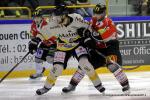 Photo hockey match Rouen - Amiens  le 26/08/2014