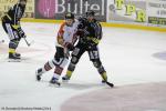 Photo hockey match Rouen - Amiens  le 07/10/2014