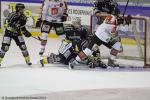 Photo hockey match Rouen - Amiens  le 07/10/2014