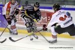 Photo hockey match Rouen - Amiens  le 18/10/2014